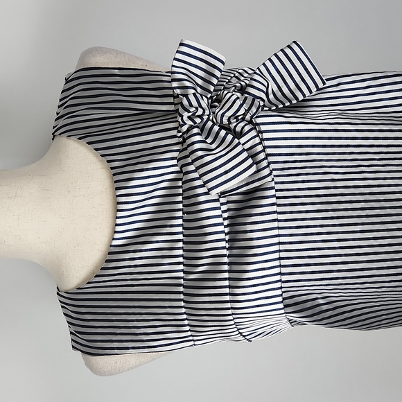 NWOT Banana Republic Preppy Navy and Metallic Silver Stripe Shift Dress Size 12 - Picture 5 of 16